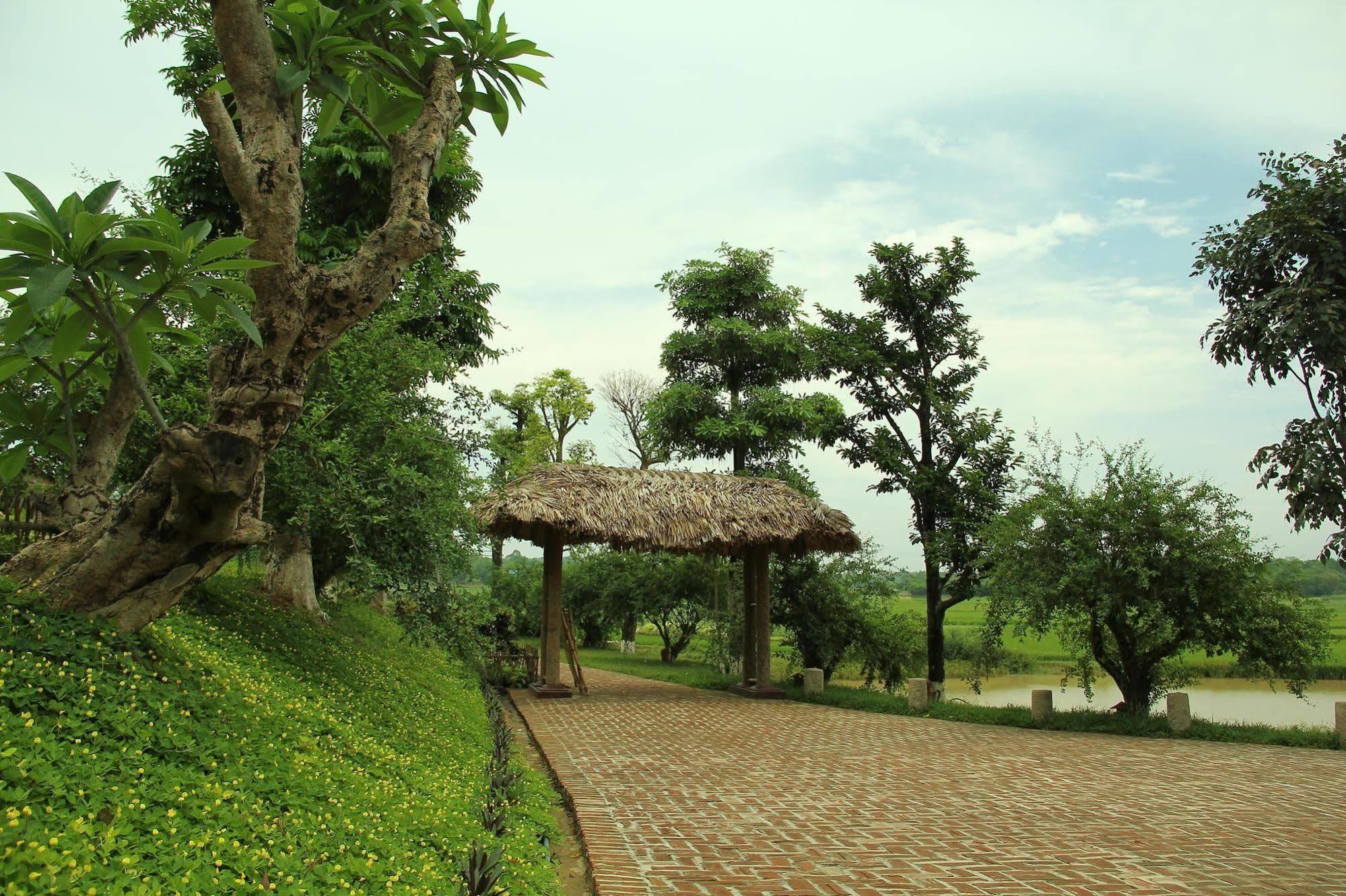 Moon Garden Homestay Son Tay Εξωτερικό φωτογραφία